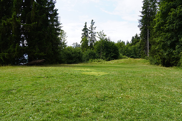 _DSC9848.jpg