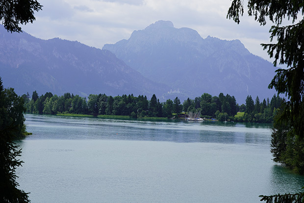 _DSC9854.jpg