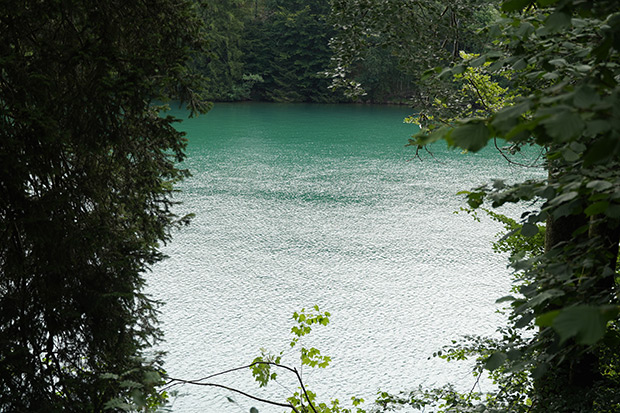 _DSC9857.jpg