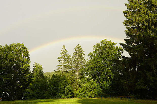 _DSC9984.jpg